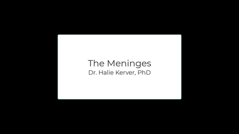 Thumbnail for OST571 (Lab 1.3) The Meninges