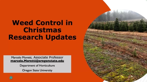 Thumbnail for RCTB Weed Control in Christmas Tree Research Update - June 25, 2024