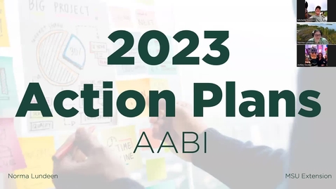 Thumbnail for entry 2023 Action Plans - AABI
