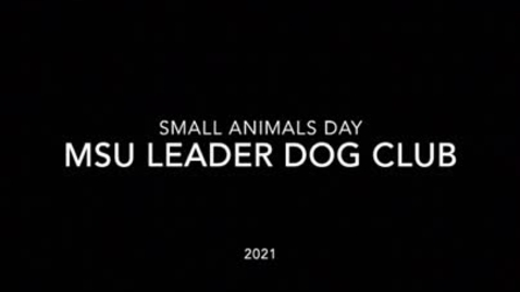 Thumbnail for entry MSU Leader Dog Club Small Animals Day Video