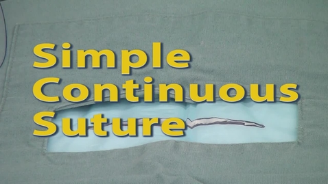 Thumbnail for entry Simple Continuous Suture