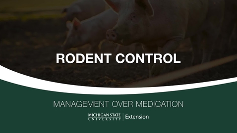 Thumbnail for entry Rodent Control