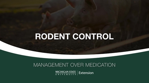 Thumbnail for Rodent Control