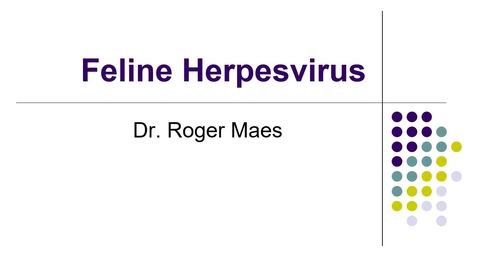 Thumbnail for entry VM 530-Feline herpesvirus (2021)-Maes
