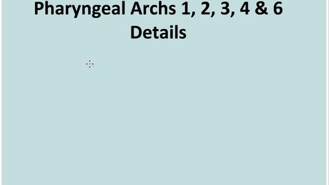 Thumbnail for entry 3-2 Pharyngeal Arches 1 2 3 4 6