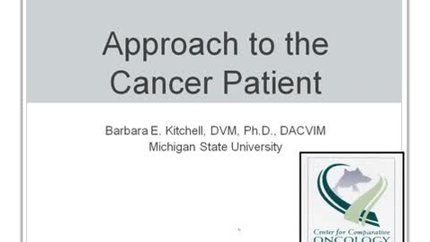 Thumbnail for entry VM_554_09152011_Approach_to_Cancer__Kitc.mp4