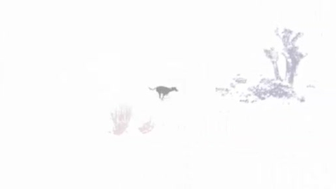 Thumbnail for HM848AnAfricanElection