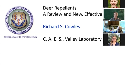 Thumbnail for Deer management and new repellent options in Christmas tree production