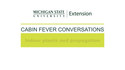 Thumbnail for Cabin Fever Conversations 2022: Indoor plants with Hillary Coleman