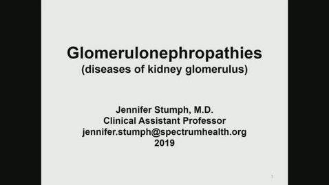 Thumbnail for entry Glomerulonephropathies- Dr. Jennifer Stumph