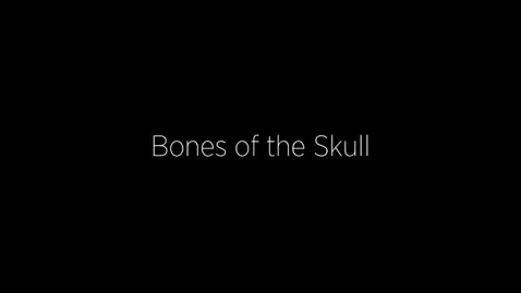 Thumbnail for entry Bones of the Skull