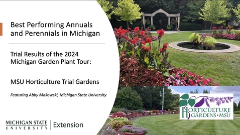 Thumbnail for Best Performing Plants at the 2024 MSU Horticulture Gardens: Michigan Garden Plant Tour