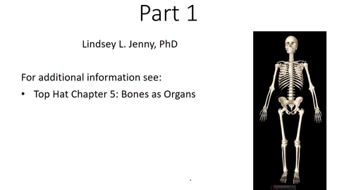 Thumbnail for entry Skeletal System Part 1