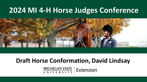 Thumbnail for Draft Horse Conformation: MI 4-H Horse Show Judges &amp; Volunteers Conference