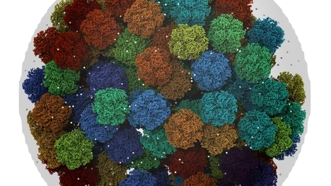 Thumbnail for Atomic Resolution Brownian Dyanmics Simulation of Carbon Dioxide in a Rubisco Packed Carboxysome