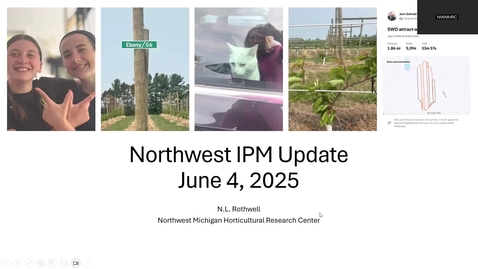 Thumbnail for June 4, 2025 MSUE Tree Fruit IPM Update for Northwest Michigan