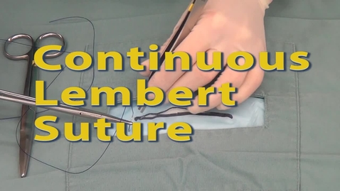 Thumbnail for entry Continuous Lembert Suture