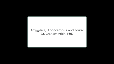 Thumbnail for entry OST571 (Lab 2.1) Amygdala, Hippocampus and Fornix