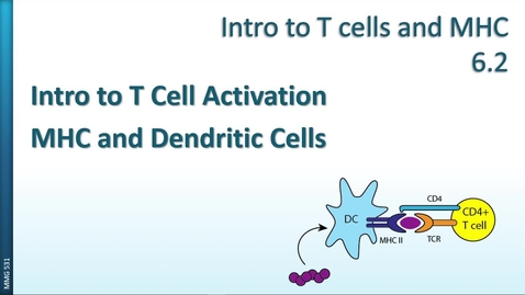 Thumbnail for entry MMG531 (06.2) - Intro to T cells and MHC - T cell activation, MHC and DCs