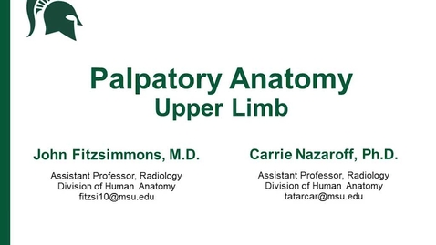 Thumbnail for entry Palpatory anatomy of the Upper Limb