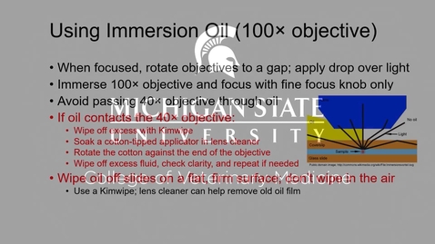 Thumbnail for entry VM 523-Use of immersion oil