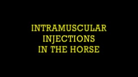 Thumbnail for entry Intramuscular Injections in the Horse