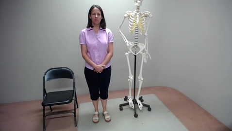 Thumbnail for Lower Limb Palpable Bony Landmarks ANTR350 Unit 1
