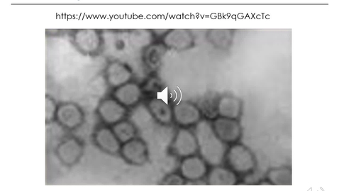 Thumbnail for entry VM 535-Equine Viral Arteritis Virus (EVA) 2021-Hussey