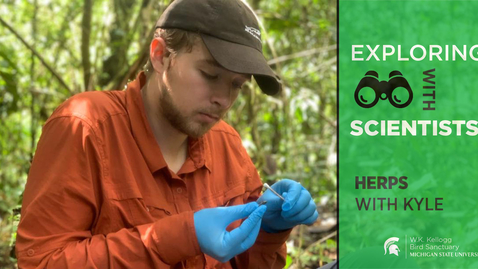 Thumbnail for Exploring with Scientists:  “How do some species avoid extinction?