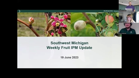 Thumbnail for SouthMichIPMUpdate06192023