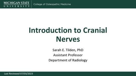 Thumbnail for Introduction to Cranial Nerves - Tilden