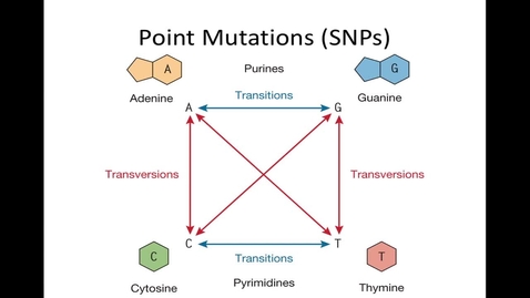 Thumbnail for Mutations