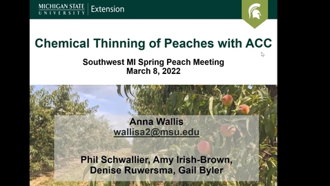 Thumbnail for Update on new chemical thinners for peach - Anna Wallis at the Michigan Spring Peach Meeting, March 8, 2022