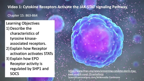Thumbnail for 015 Video 1 JAK_STATs