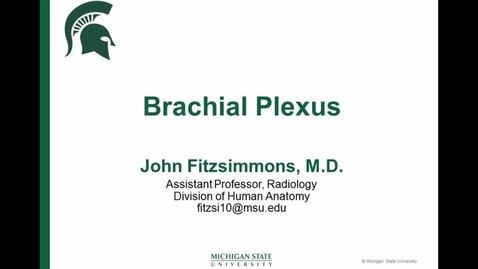 Thumbnail for ANTR510 (020) Brachial Plexus Drawing