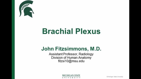 Thumbnail for entry ANTR510 (020) Brachial Plexus Drawing