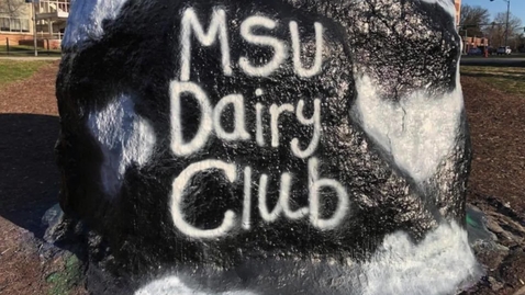 Thumbnail for entry MSU Dairy Club Small Animals Day