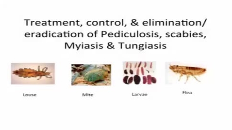 Thumbnail for HM887pediculosis
