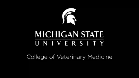Thumbnail for entry VM 530-Heartworm Infections of Dogs and Cats