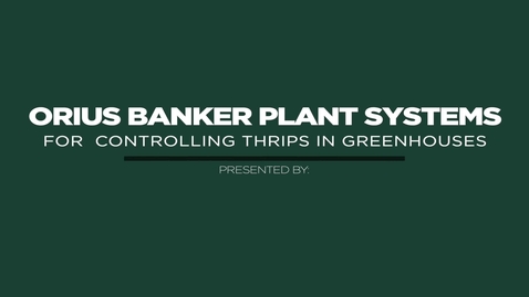Thumbnail for Orius Banker Plant Systems for Controlling Thrips in Greenhouses