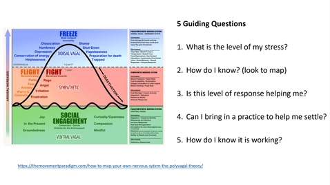Thumbnail for Mapping Your Nervous System_Grounding Practices