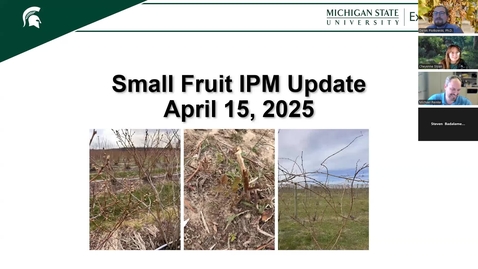Thumbnail for April 15, 2025 MSUE Small Fruit IPM Update for Southern Michigan
