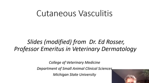 Thumbnail for entry VM 534-Cutaneous vasculitis with video