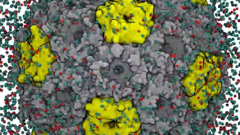 Thumbnail for entry All Atom Molecular Dynamics Simulations of a Synthetic Carboxysome