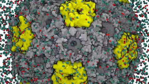 Thumbnail for All Atom Molecular Dynamics Simulations of a Synthetic Carboxysome