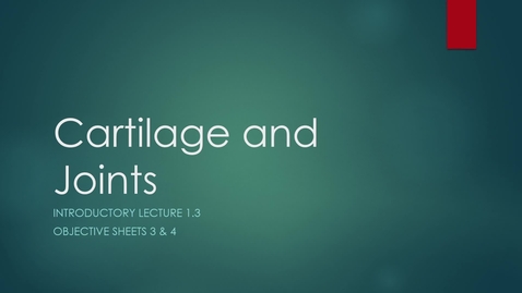 Thumbnail for VM 130 Anatomy Introduction 1.3 Cartilage and Supportive Structures