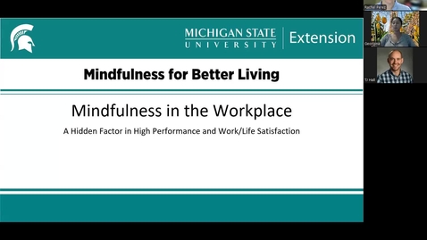 Thumbnail for WorkLife Wellbeing Series: Mindfulness in the Workplace