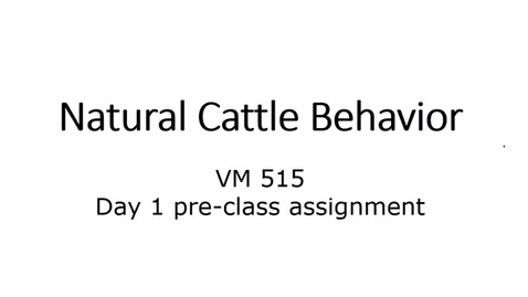 Thumbnail for entry VM 515-Natural Cattle Behavior - Lecture