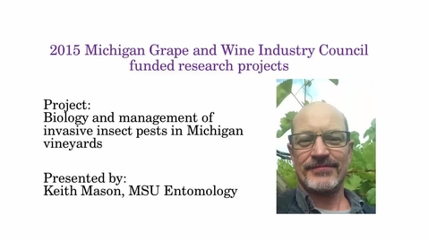 Thumbnail for entry Biology and management of invasive insect pests in Michigan vineyards by Keith Mason