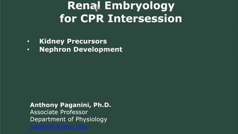 Thumbnail for entry Renal Embryo Review for CPR